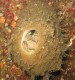 Thumbs/tn_DSechelt 006.jpg